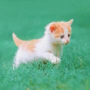 zgswq的个人资料头像