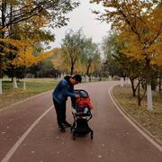 灰太狼80的个人资料头像