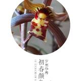 Dk888头像