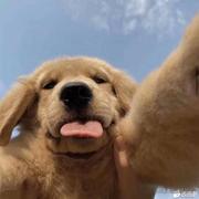 用户4343169050738的个人资料头像