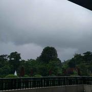 小雨1479094125000的个人资料头像