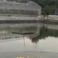 火鸡哥哥爱吃肉头像
