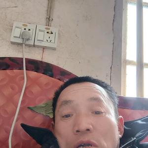 梦幻苹果cg头像