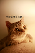 独行侠梦的个人资料头像