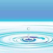 杜展飞的个人资料头像