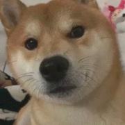 女魔头307的个人资料头像