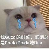 来学习的5678头像