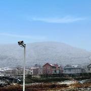 阿甘259的个人资料头像