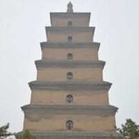 用户393445786048头像