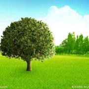 abcd827的个人资料头像