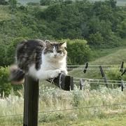 哈嘿x的个人资料头像