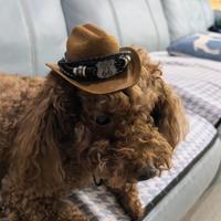 智界奇瑞大QQ头像