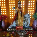 腾龙龙年旺旺头像