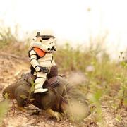 nkysg的个人资料头像