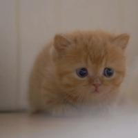 用户1318508140353头像