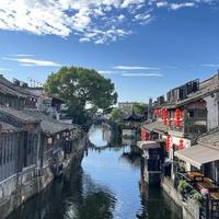 尼克斯狼头像