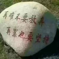 用户623104921113头像