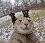 cat_one的个人资料头像