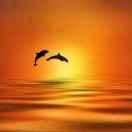 Deschen的个人资料头像