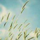 叶清来的个人资料头像