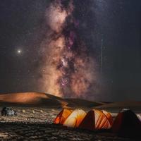 自强不息的猫头像