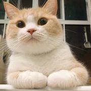 颜小白的个人资料头像