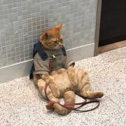 话又说回来的个人资料头像