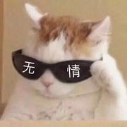 尼古拉斯赵四881的个人资料头像