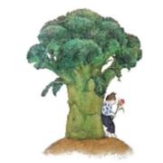 魔术师离月的个人资料头像