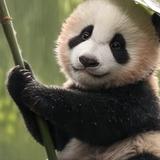 熊出没AI头像