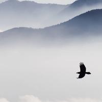 用户4719970508815头像