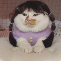 无須終有8343头像