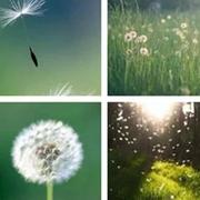 静jing111222的个人资料头像