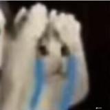 世间尔尔独善其身头像
