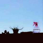 c_p的个人资料头像