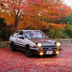 大程爱潮车头像