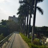 高级饺子fH头像