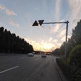 沐雨青灿头像