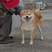 Victory549的个人资料头像