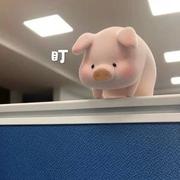 w智的个人资料头像