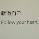 shpdzw的个人资料头像