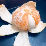 用户414556461155头像