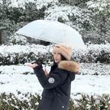 清闲的水滴HpE头像