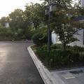 破风lowprofile头像
