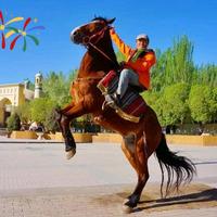 用户2965829223661头像