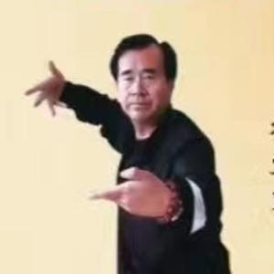 杨氏拳头像