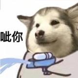宁某235头像