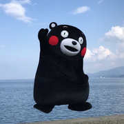 SiriusQin123的个人资料头像