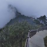 东阳158544573头像