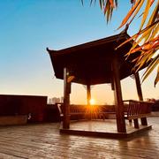 vigoo的个人资料头像